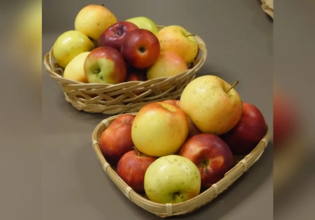 How to Make the Most of Your Apple Surplus: Creative Recipes and Ideas