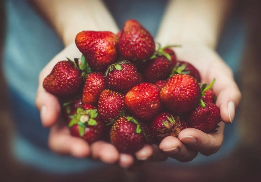 Strawberries: Nature’s Sweetest Love Letter