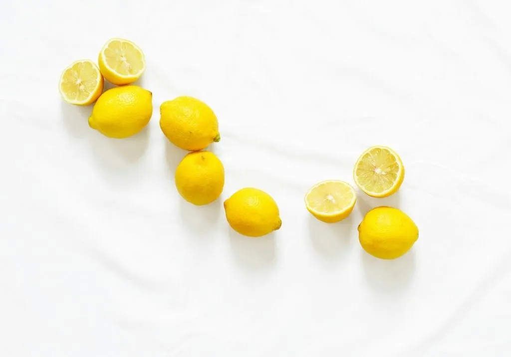 The Zesty World of Lemons: A Citrus Celebration