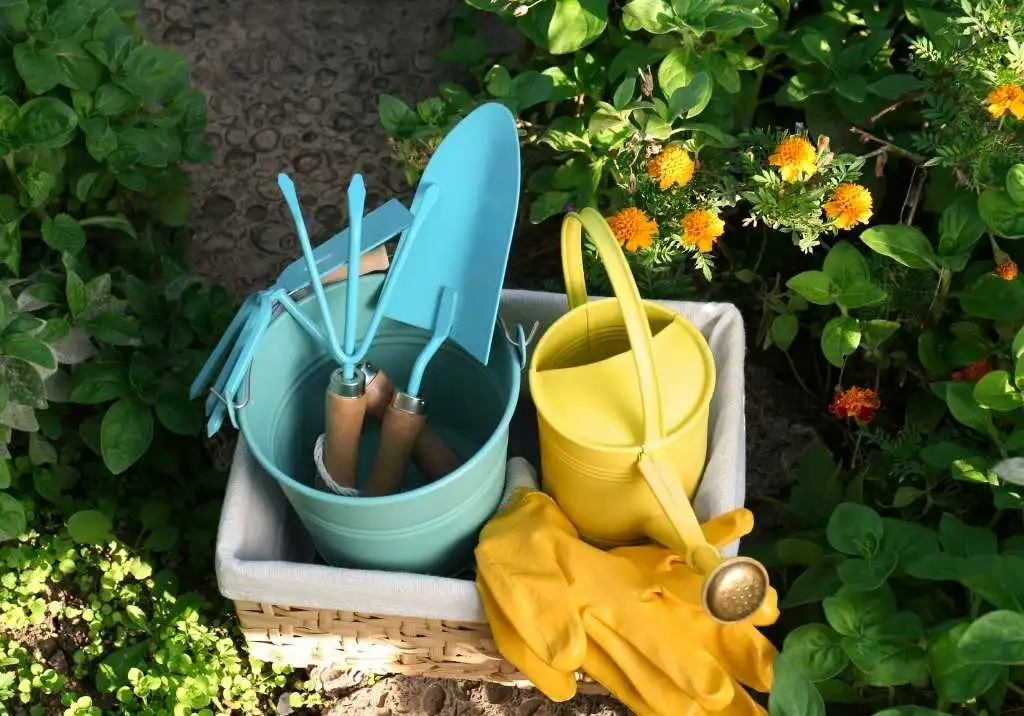 The Ultimate Guide to Tools for Your Small Garden: Cultivating Magic in Every Corner